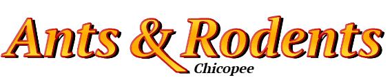 Chicopee Ant Exterminator & Rodent Control Company Logo